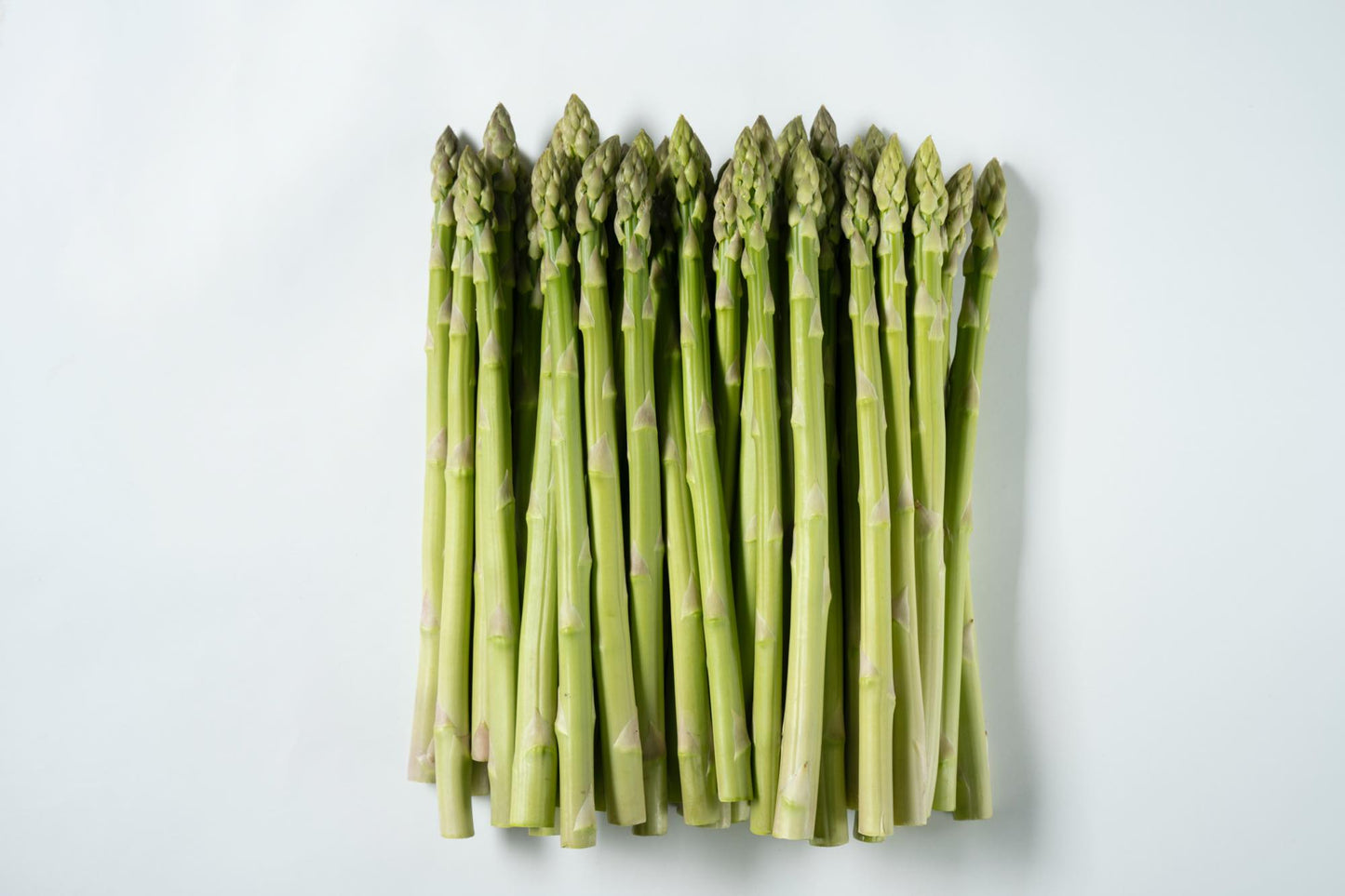 雪アスパラ(グリーン)800g