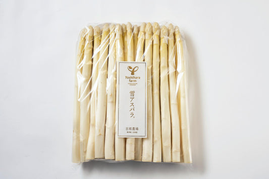 雪アスパラ（ホワイト）８００g